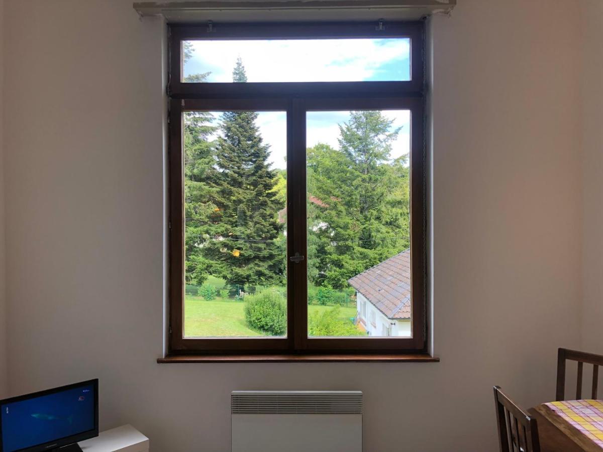 Appartamento Loft Mon Soleil Le Hohwald Esterno foto
